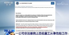  美国童工化处置工